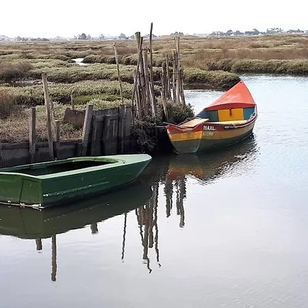 公寓 P&h 阿威罗